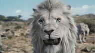 Kiros' son is killed by Mufasa's father, Masego. (via Disney)
